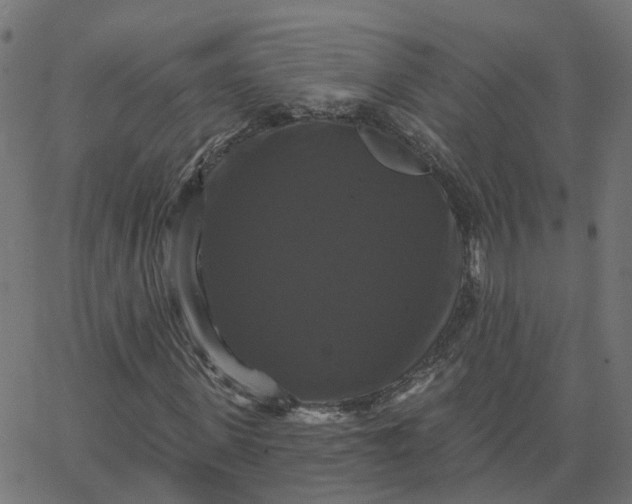 X0000067880915200604271757