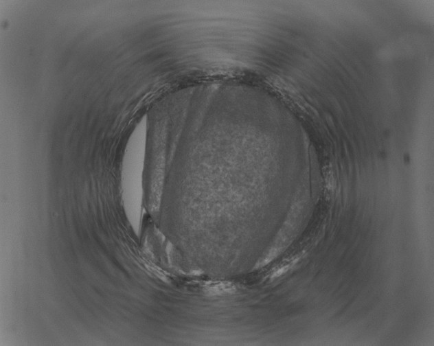 X0000067880916200604271757