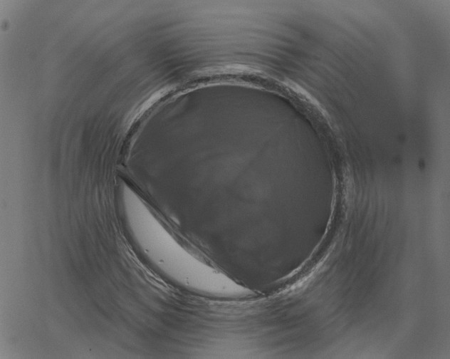 X0000067880921200604271757