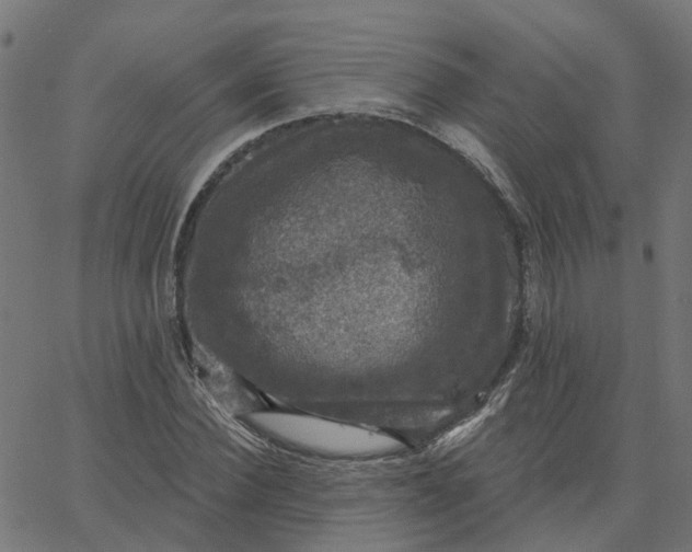 X0000067880924200604271757