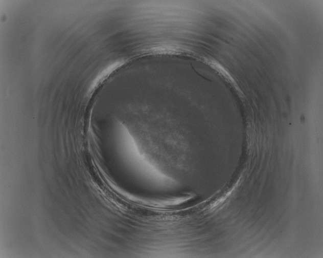 X0000067880930200604271757