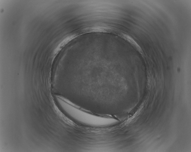 X0000067880938200604271757