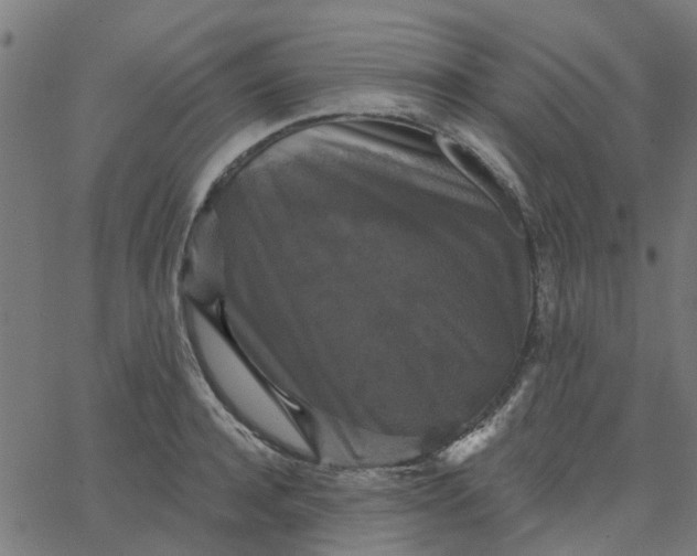 X0000067880944200604271757
