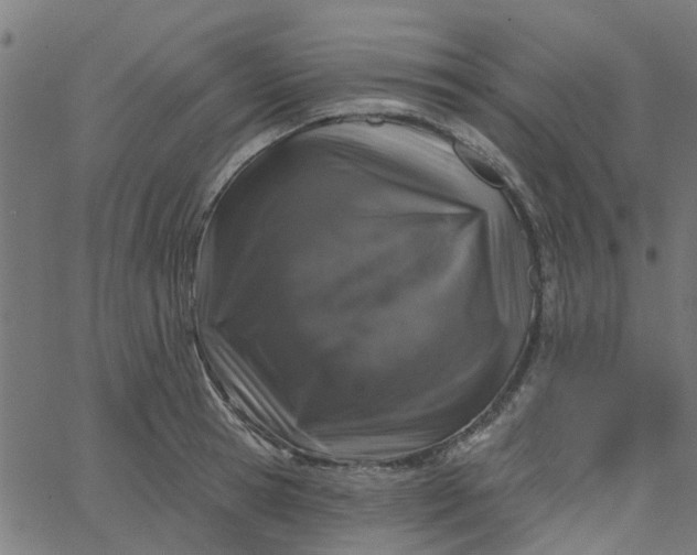 X0000067880945200604271757