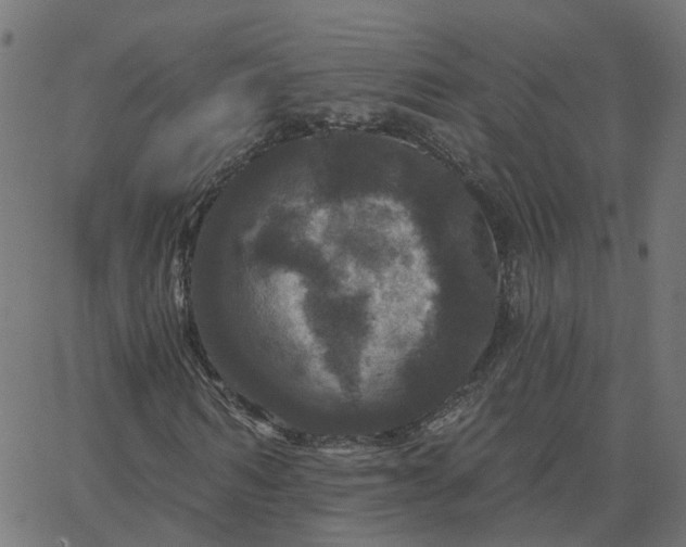 X0000067880962200604271757