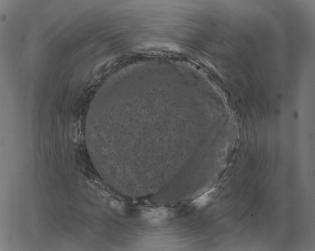 X0000067880965200604271757