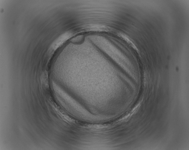 X0000067880970200604271757