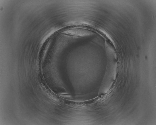 X0000067880975200604271757