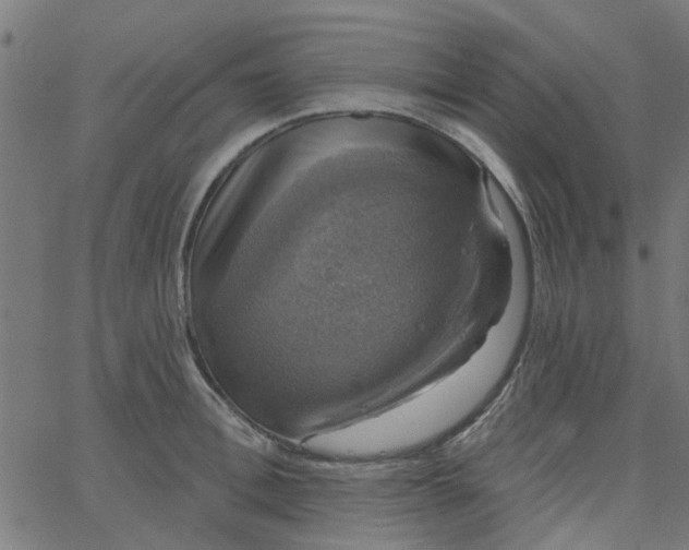 X0000067880996200604271756