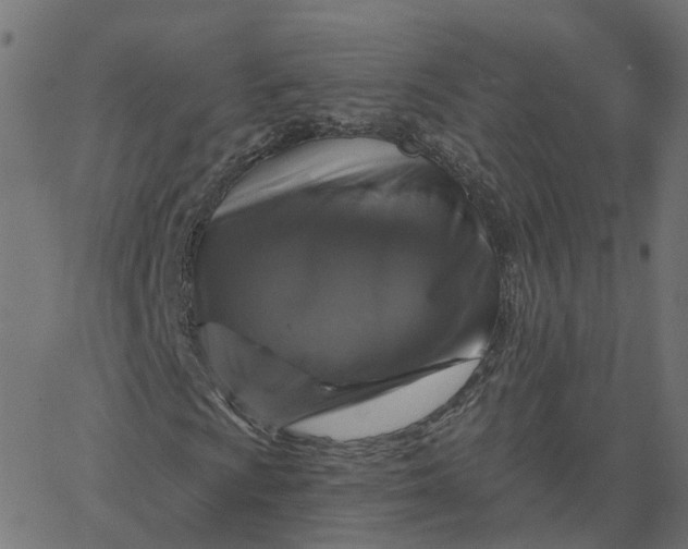 X0000067881009200604271755