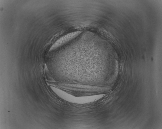 X0000067881012200604271755