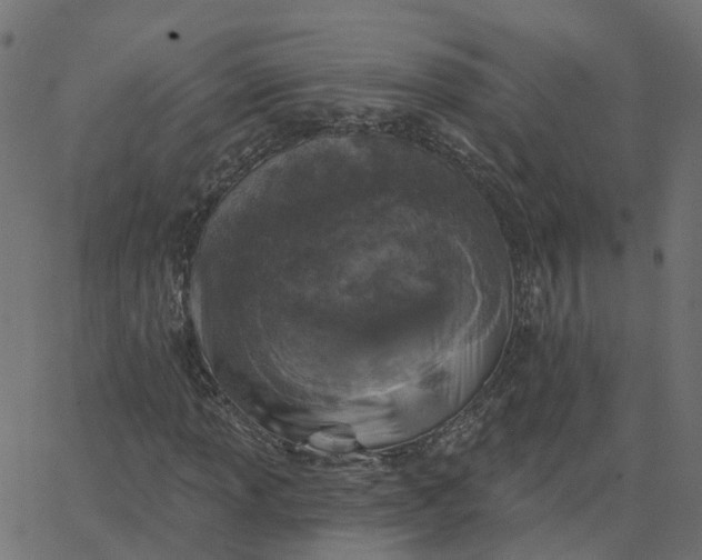 X0000067881013200604271755