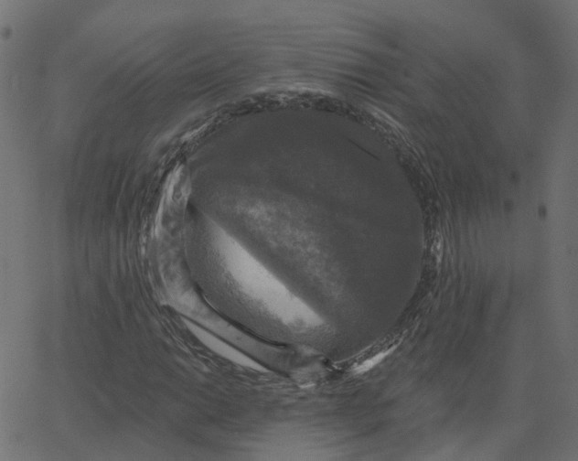 X0000067881014200604271755