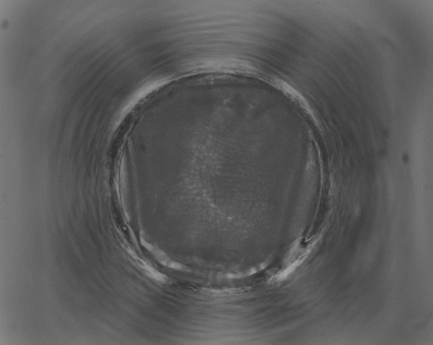 X0000067881019200604271756