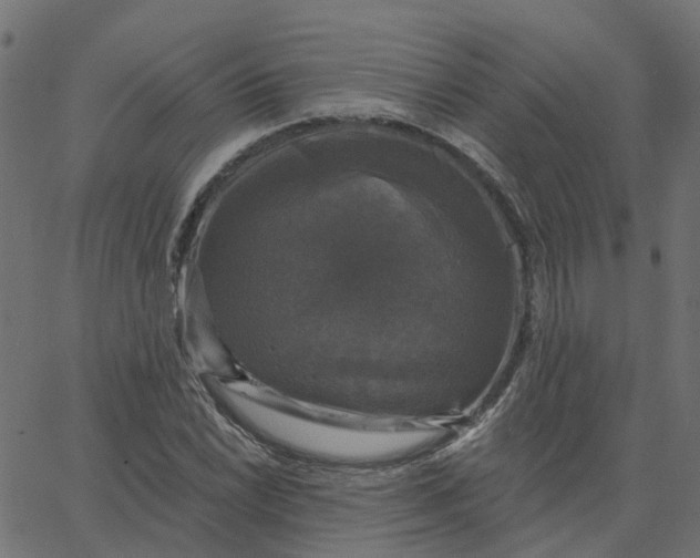 X0000067881022200604271756