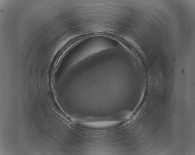 X0000067881023200604271756