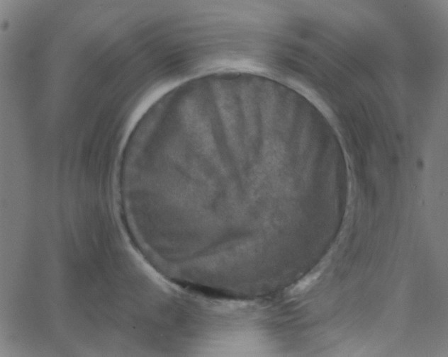 X0000067881056200604271756