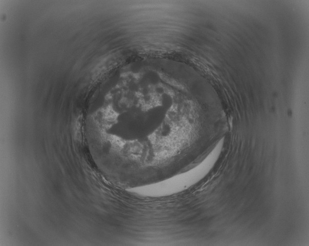 X0000067881059200604271755