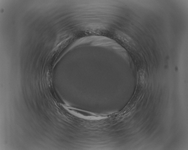 X0000067881060200604271755