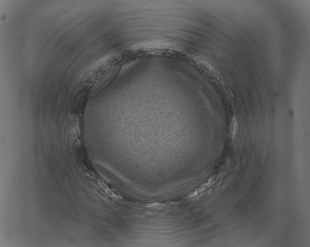 X0000067881062200604271755
