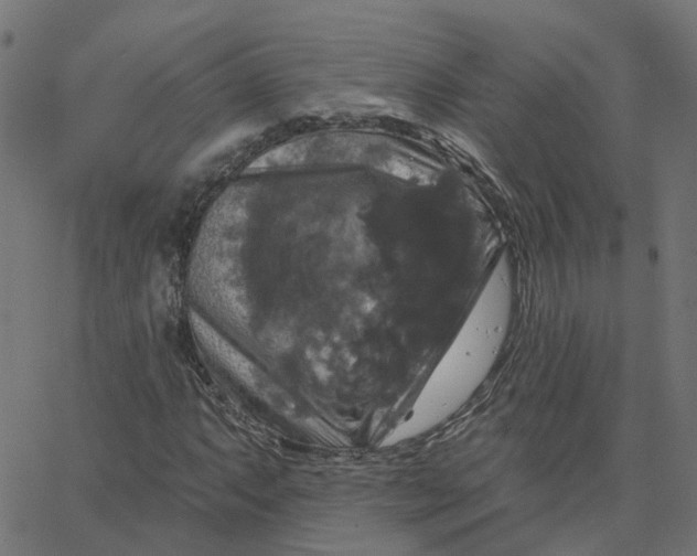 X0000067881063200604271755