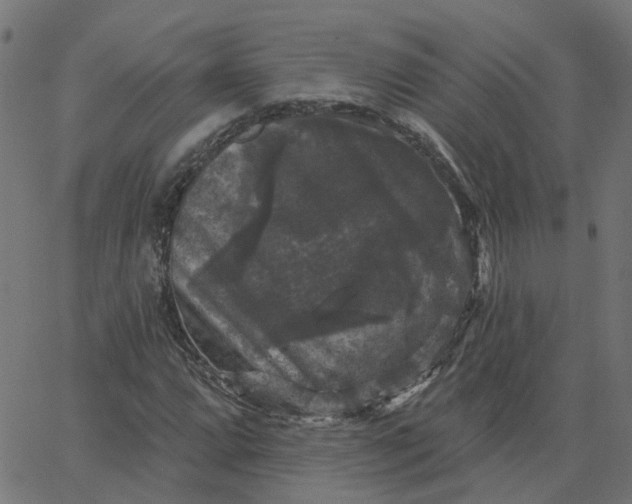 X0000067881064200604271755