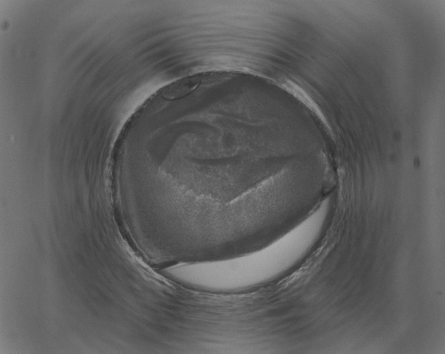 X0000067881068200604271755