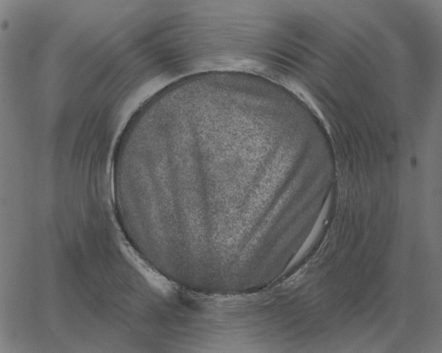 X0000067881080200604271755