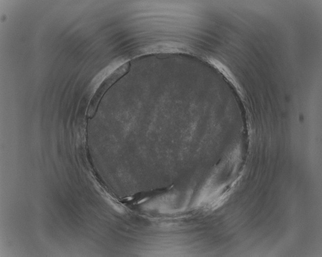 X0000067881081200604271755
