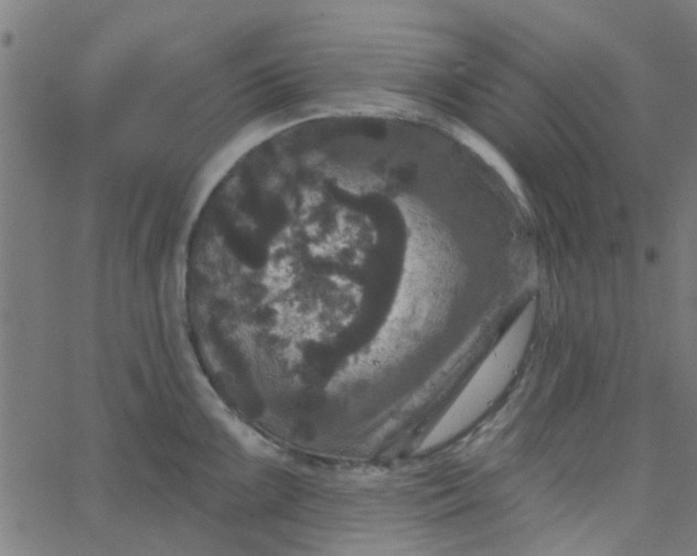 X0000067881099200604271755