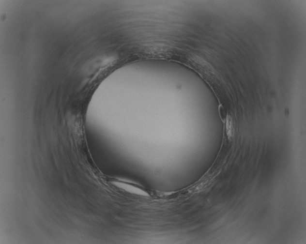 X0000067881107200604271754