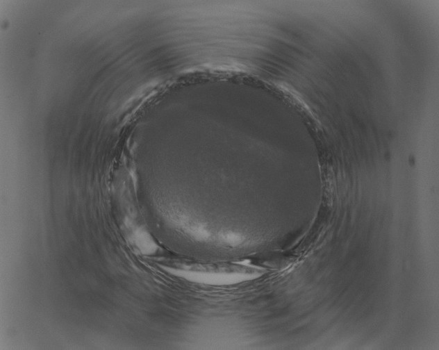 X0000067881110200604271754