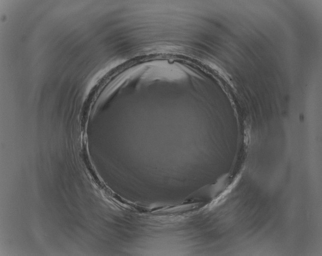 X0000067881117200604271754