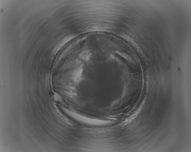 X0000067881121200604271754