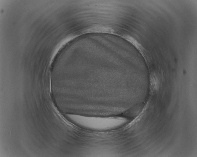 X0000067881123200604271754