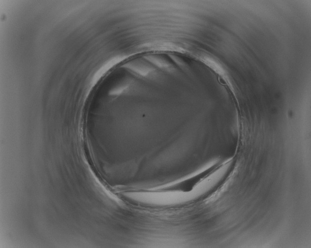 X0000067881141200604271754