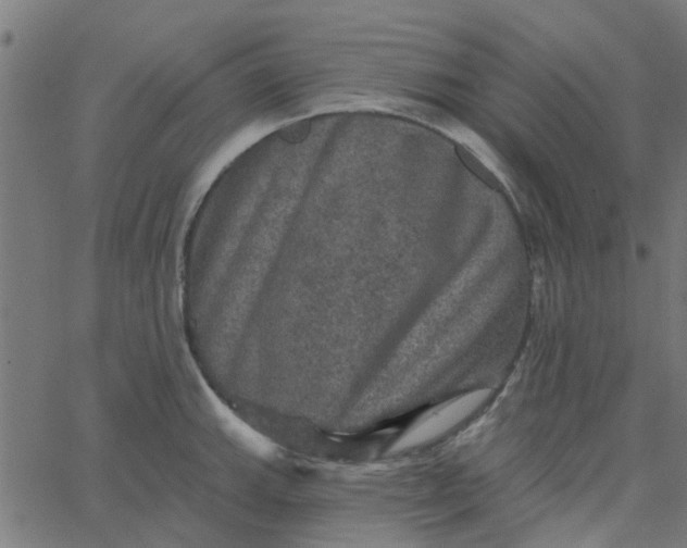 X0000067881143200604271754