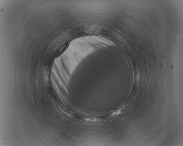 X0000067881154200604271754