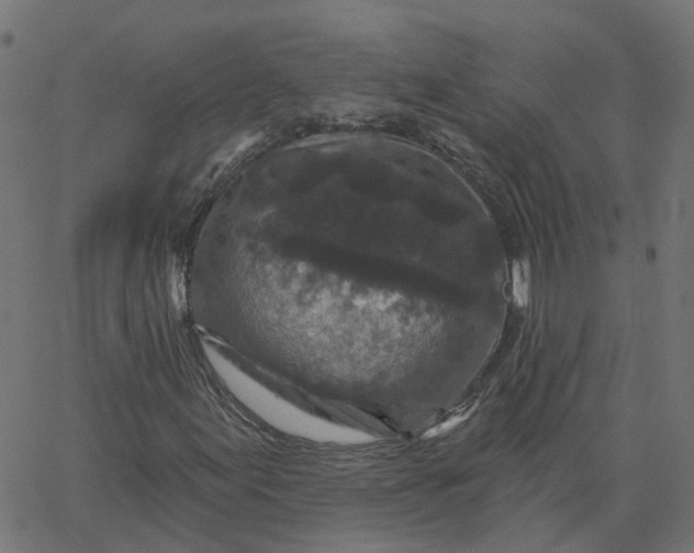X0000067881155200604271754