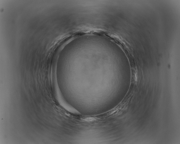 X0000067881157200604271754