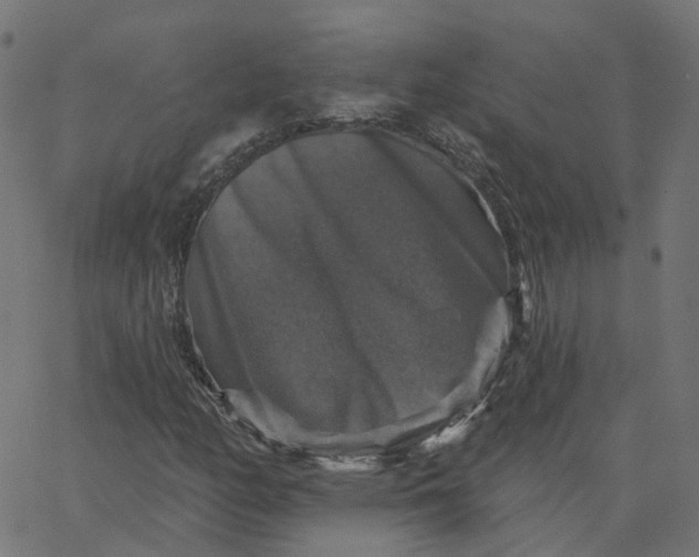 X0000067881158200604271754