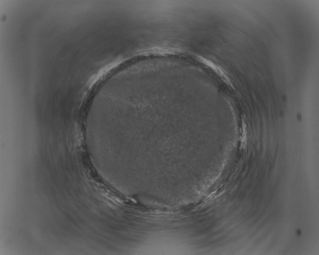 X0000067881160200604271754