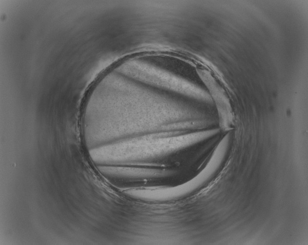 X0000067881168200604271754