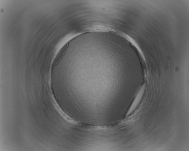 X0000067881195200604271753