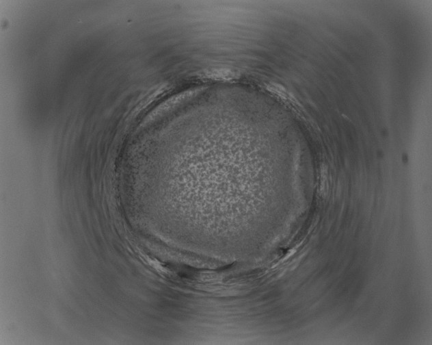 X0000067881201200604271752