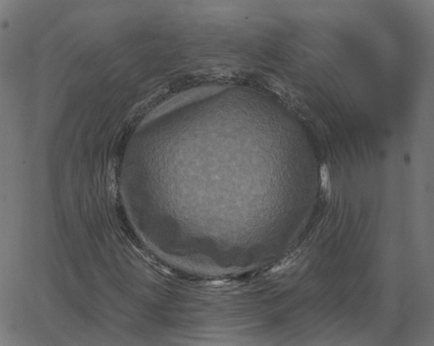 X0000067881203200604271752