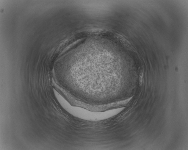 X0000067881204200604271752