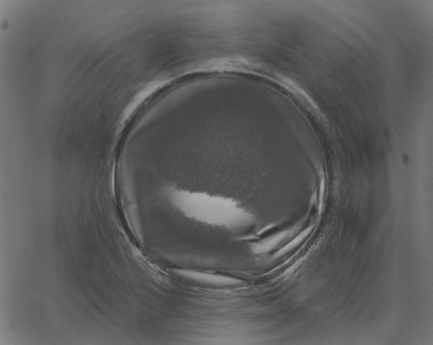 X0000067881224200604271753