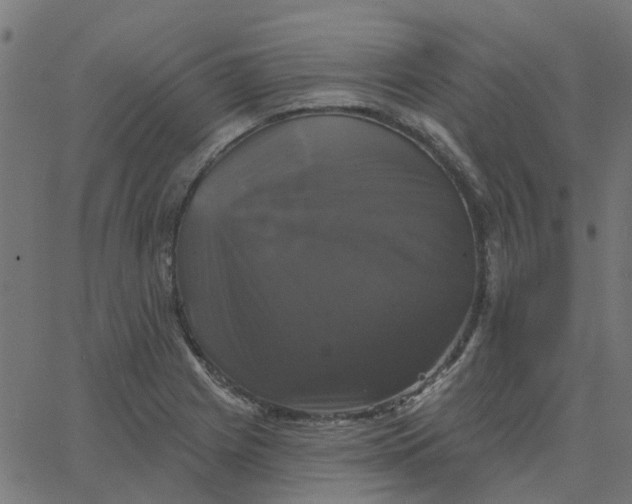 X0000067881225200604271753