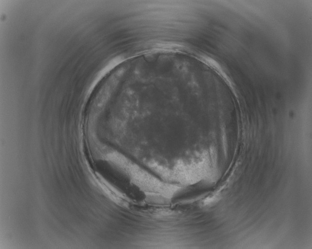 X0000067881235200604271753